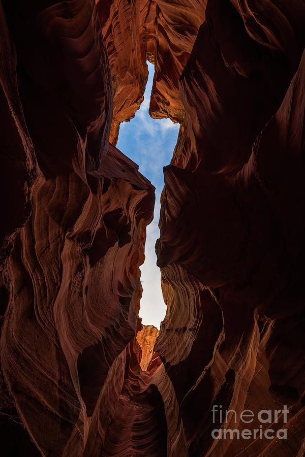 Navajo Land Photograph by Doug Sturgess