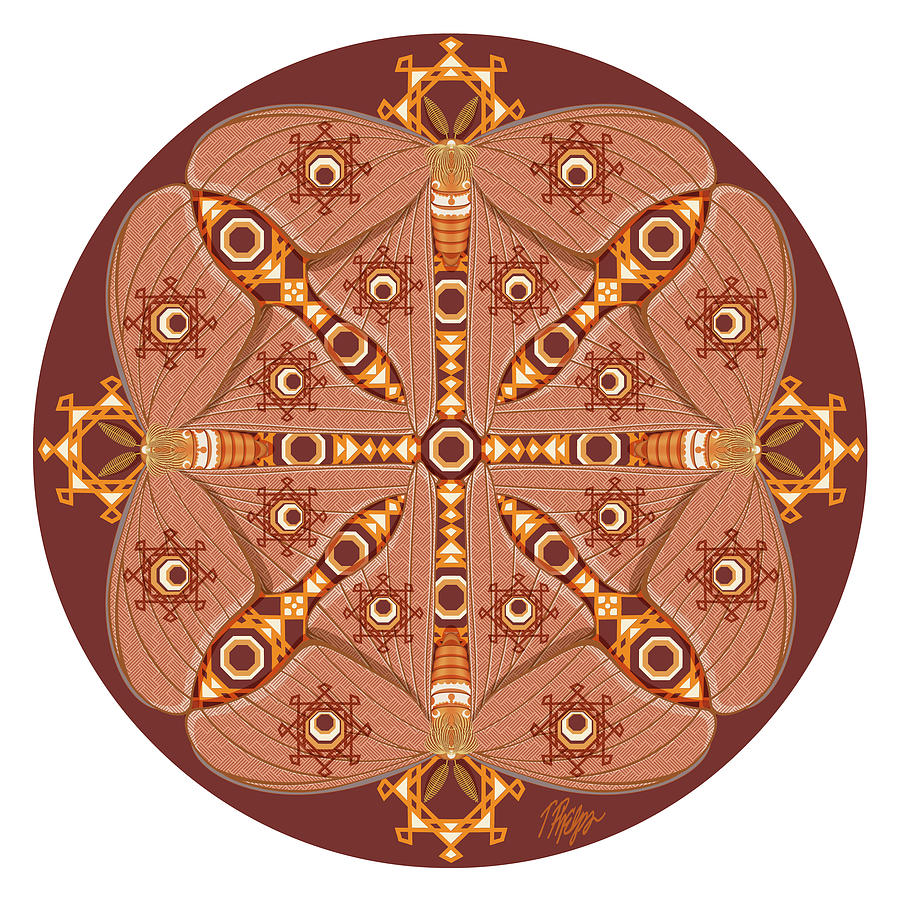 Navajo Moth Eyespot #2 Mandala Digital Art by Tim Phelps