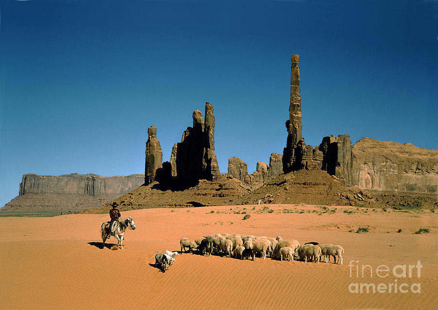 Navajo Native American Herding Sheep in Monument Valley Photograph by Photovault Archives