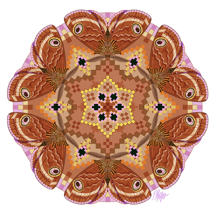 Navajo Owl Moth Mandala Digital Art by Tim Phelps