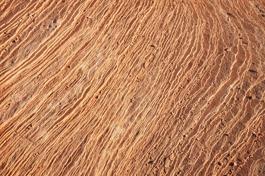 Navajo Sandstone Rock Strata Aeolian Erosion Photograph by ChuckSchugPhotography