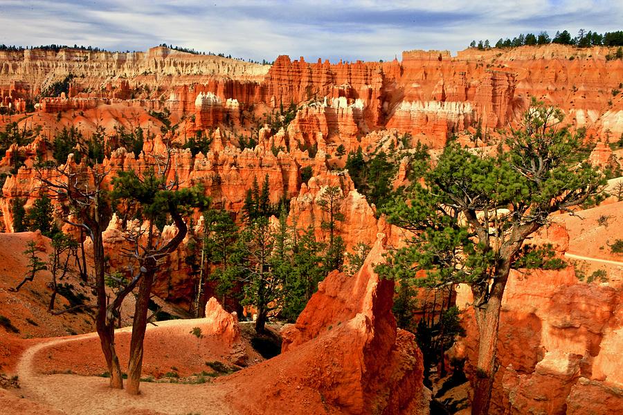 Navajo Trail into Bryce Canyon Photograph by Geoff McGilvray