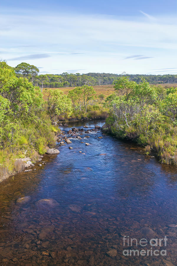 Little Navarre River, Nr. Derwent Bridge, Tasmania, Australia Photograph by Elaine Teague
