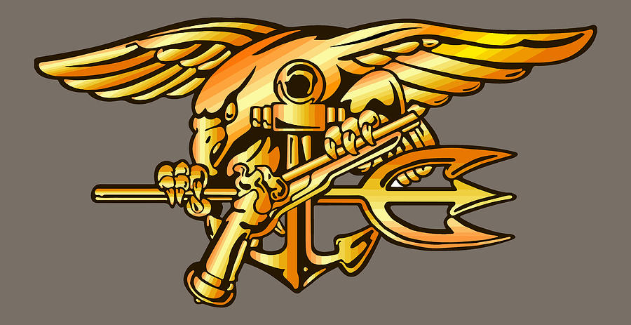 Navy Seal Trident Special Warfare Insignia Photograph by Keith Webber ...