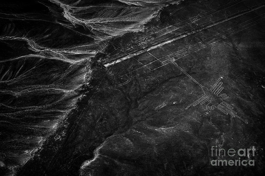 Nazca Photograph - Nazca Hummingbird by Jennylynn Fields