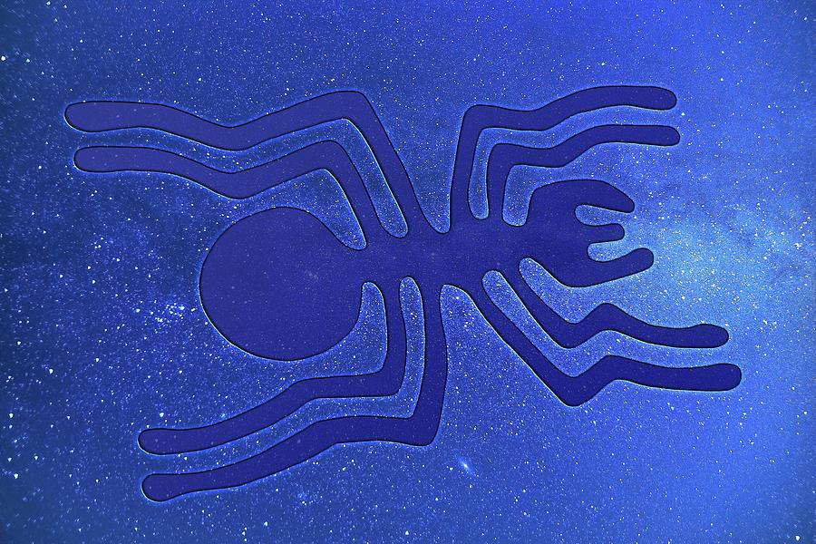 Nazca Spider Digital Art by Alex Mir