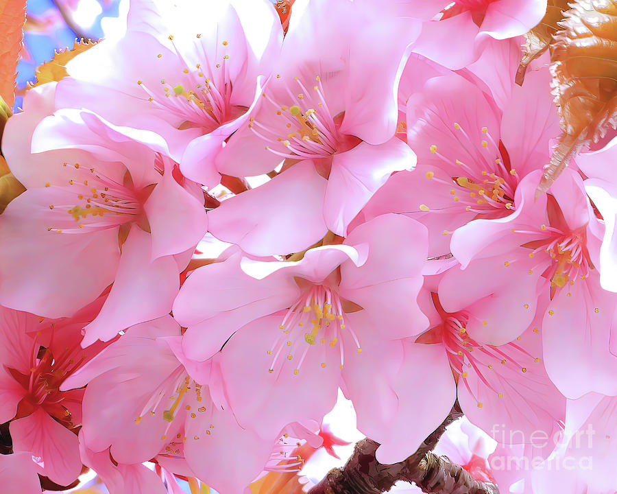 Nbr.27 Spring Blossoms Photograph by Scott Cameron