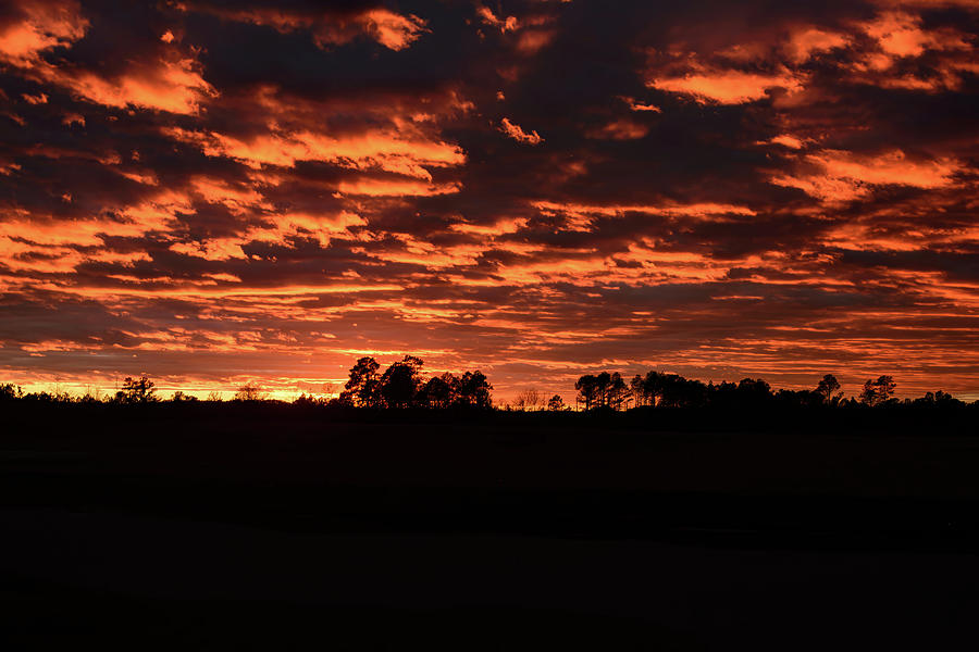 NC Firey sunset 001 Photograph by Flees Photos