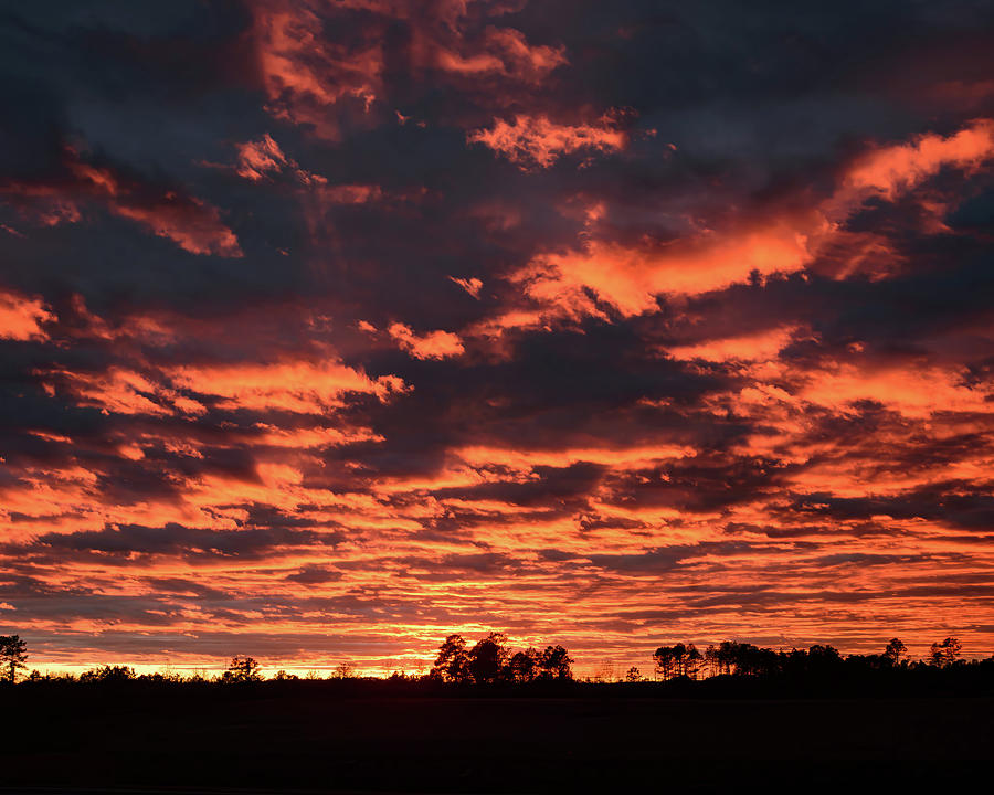 NC Firey Sunset 002 Digital Art by Flees Photos