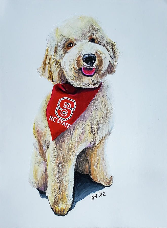 NC State Pup Drawing by Jean Haynes