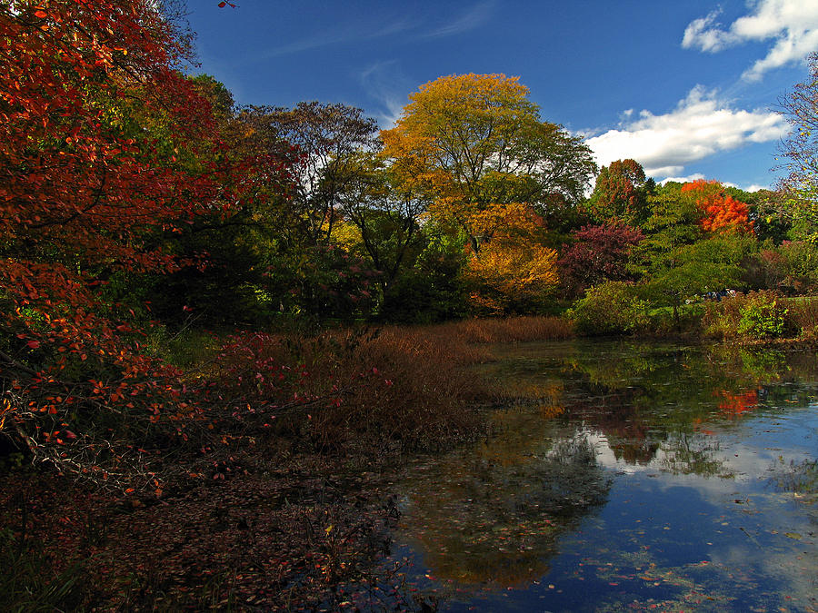 NE Fall Foliage Photograph by Juergen Roth