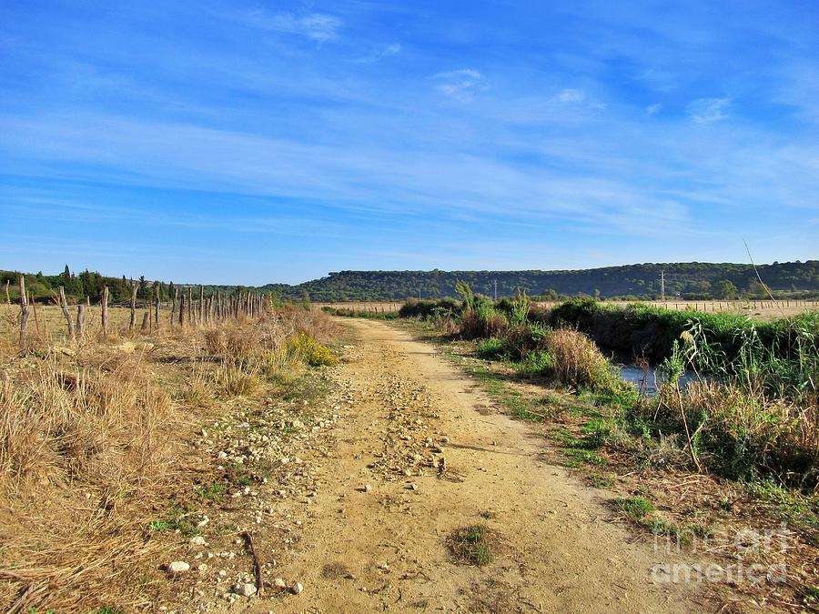 Path near Barbate Photograph by Chani Demuijlder