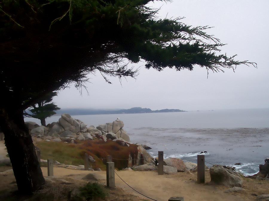Beach Photograph - Near Carmel by Pharris Art Beach Photograph - Near Carmel by Pharris Art