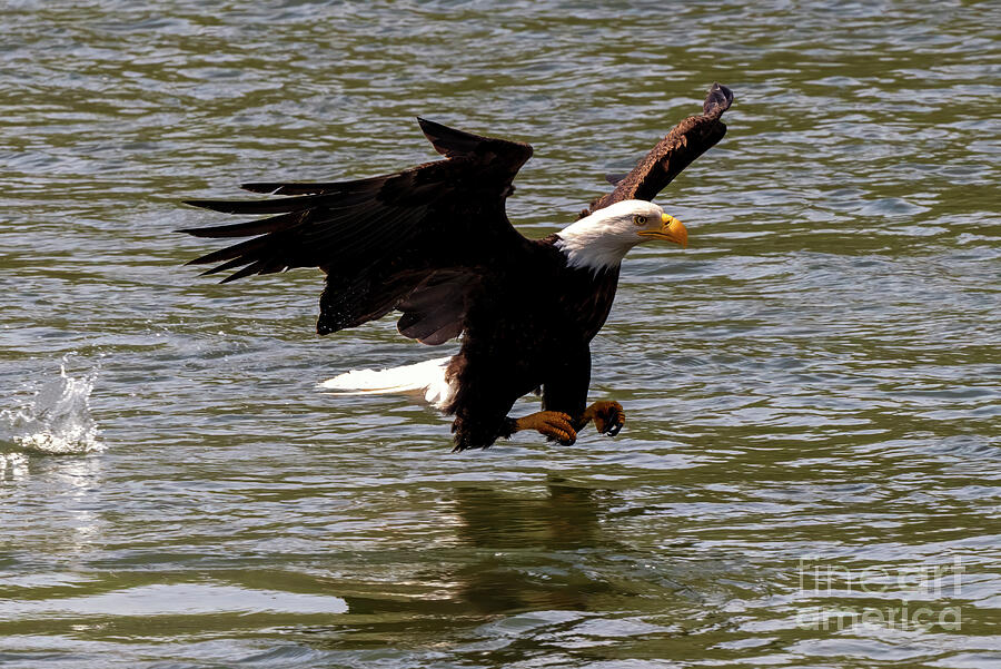 Near Miss Photograph by Michael Dawson - Fine Art America