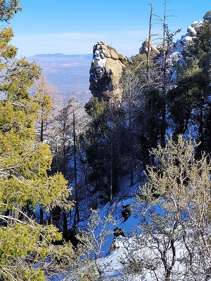 Nearing Mount Lemmon Photograph by Vicky Sweeney - Fine Art America