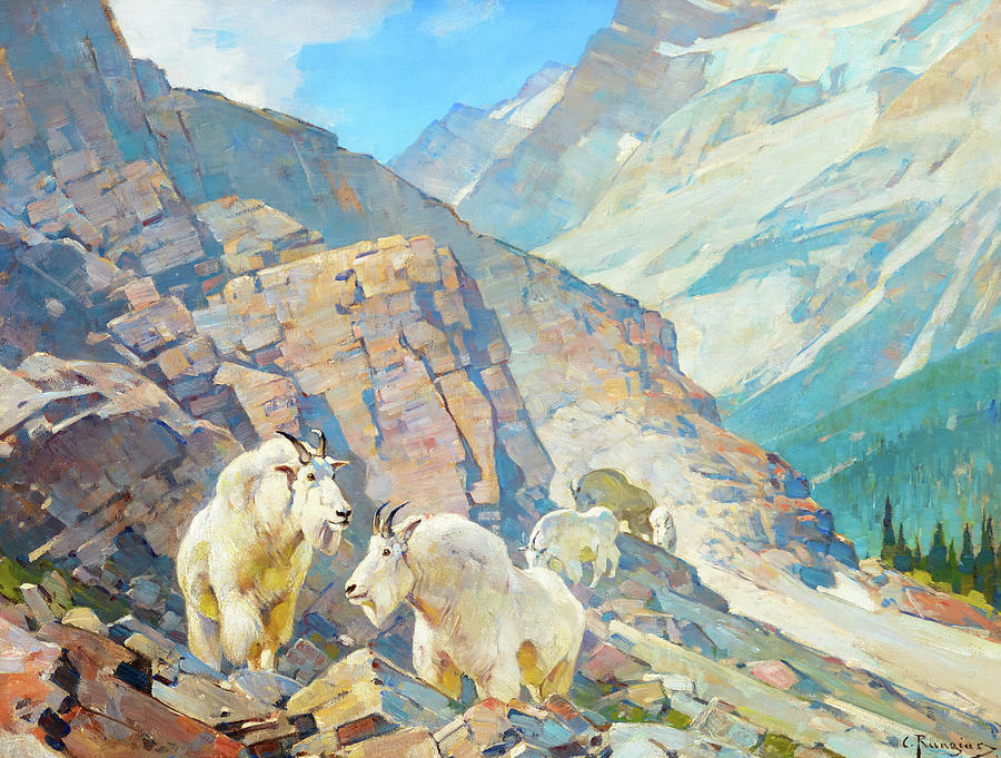 Goat Painting - Near Summit Lake, British Columbia by Carl Rungius