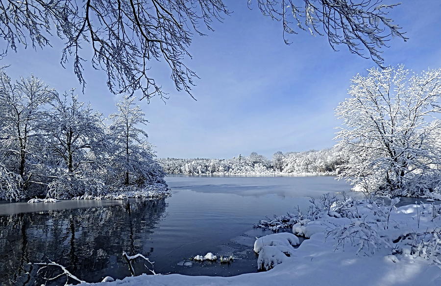 Near the Winter Lake Photograph by Lyuba Filatova