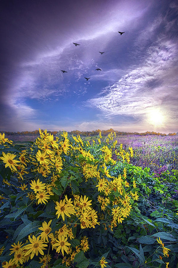 Nearing Photograph by Phil Koch