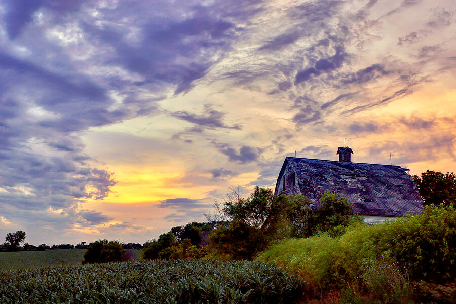 Nebraska - Barn - Sunset Photograph by Nikolyn McDonald Nebraska - Barn - Sunset Photograph by Nikolyn McDonald