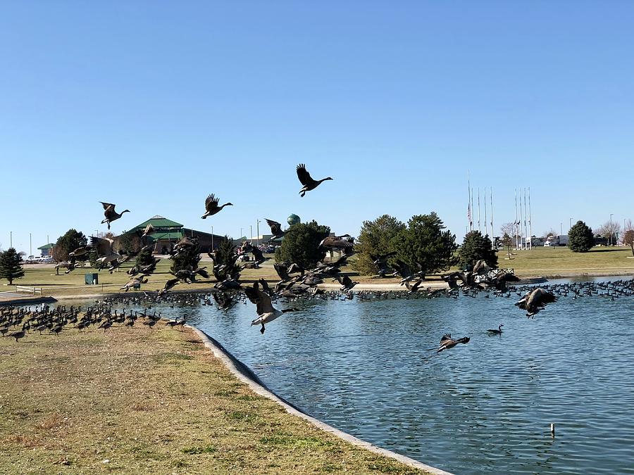 Nebraska Cabelas World Headquarters Photograph By Curtis Boggs Fine   Nebraska Cabelas World Headquarters Curtis Boggs 