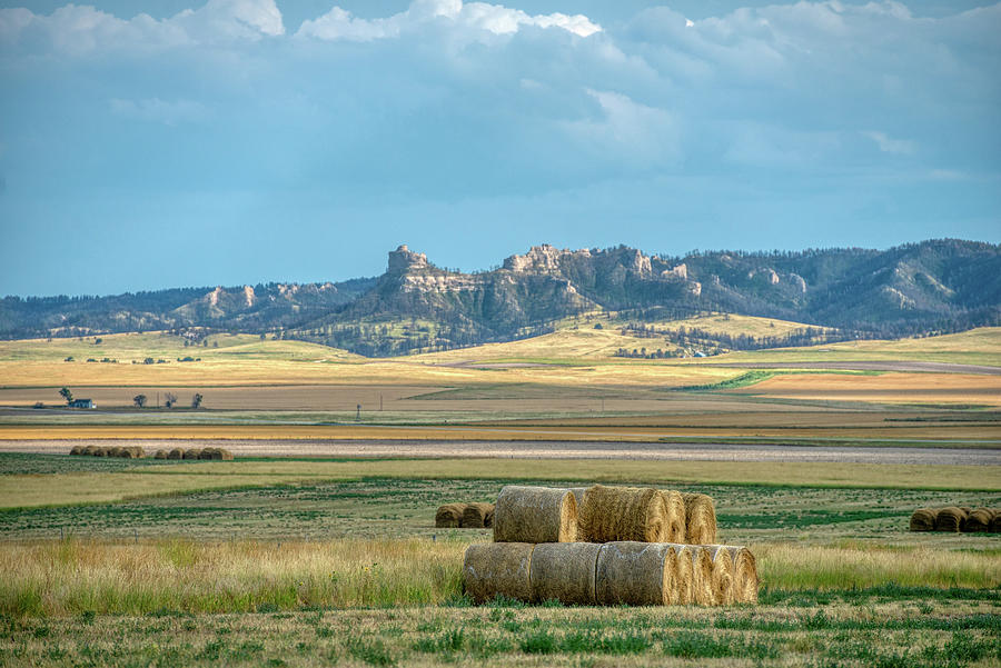 Summer Photograph - Nebraska Hay bales by Paul Freidlund