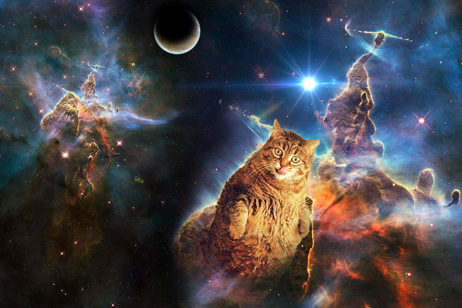 Nebula cat - fat cat - galaxy cat - cat art Digital Art by Johnnie Art ...