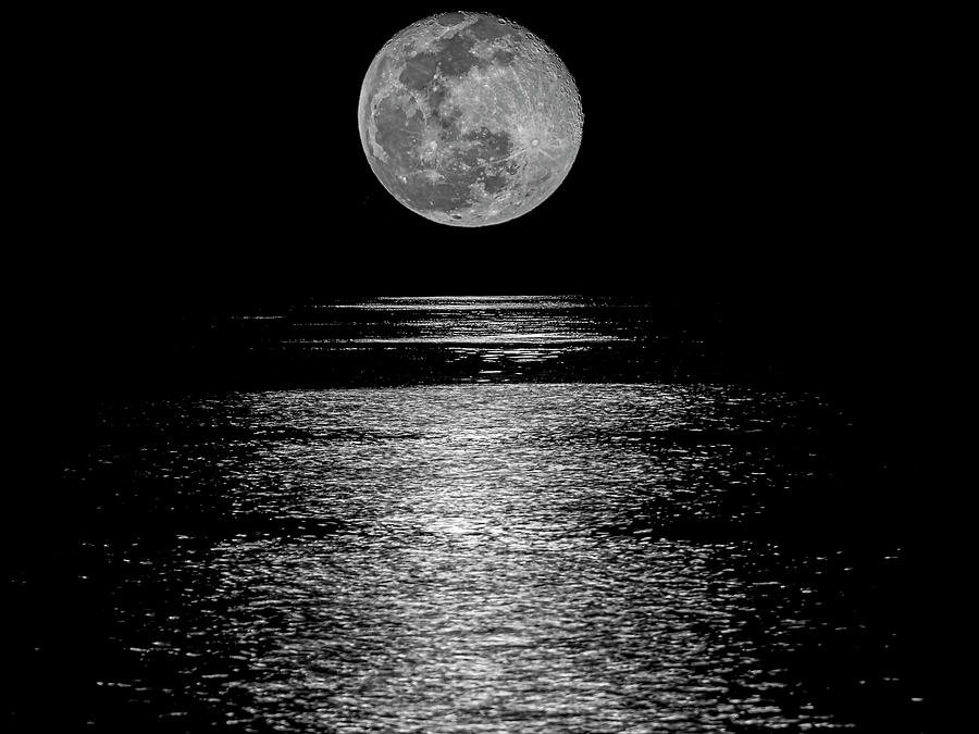 Neches River Moon Black and White Photograph by Jerry Connally - Fine ...