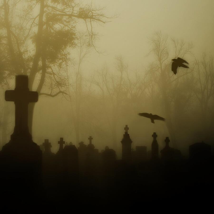 Necropolis Fog Photograph by Gothicrow Images | Fine Art America