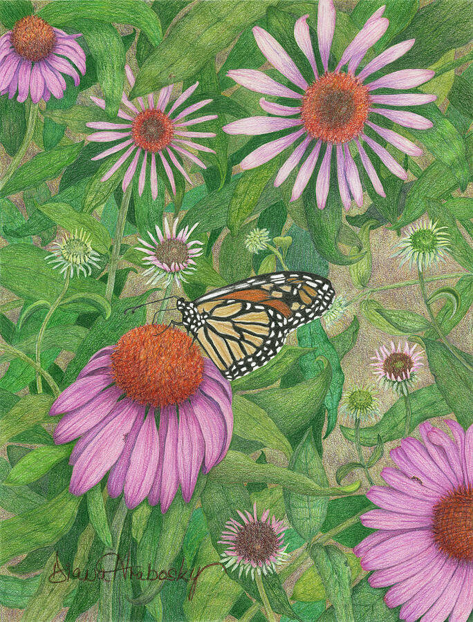 Nectar Buffet Drawing by Diana Hrabosky
