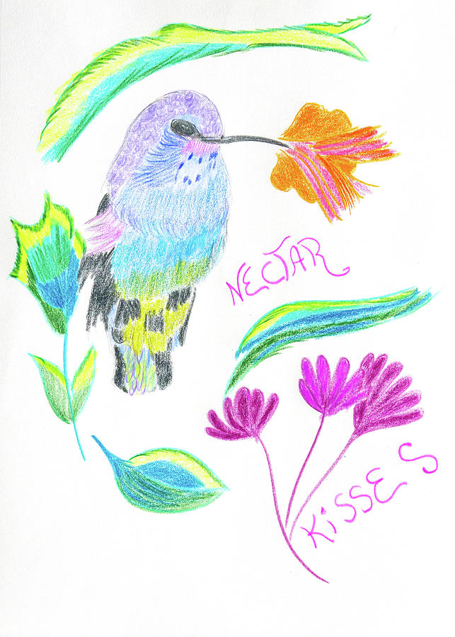 Nectar Kisses Drawing by Meryl Goudey