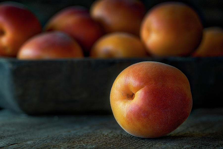 Nectarines Photograph by Larry Hanna - Fine Art America