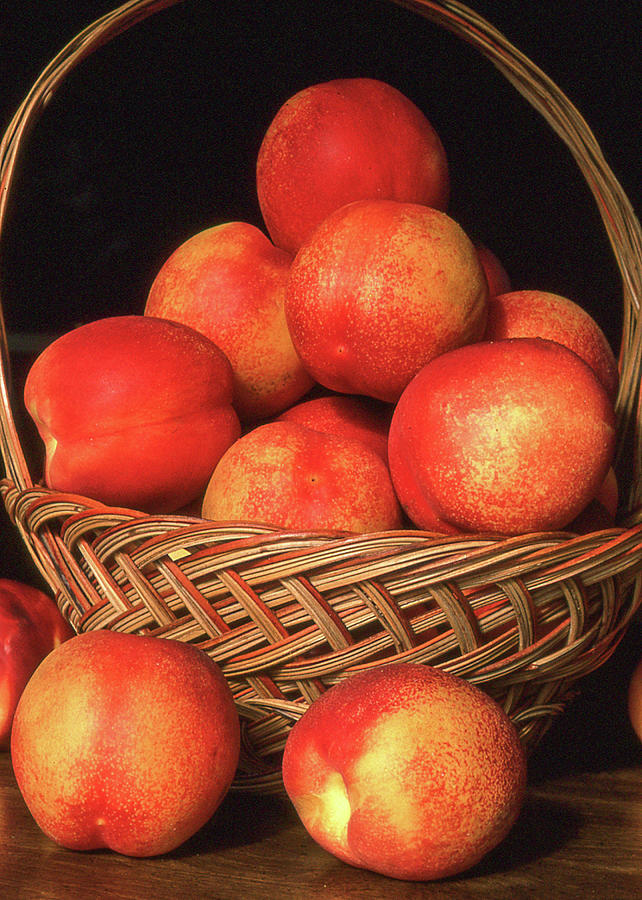 Nectarines or Peaches? Photograph by James C Richardson