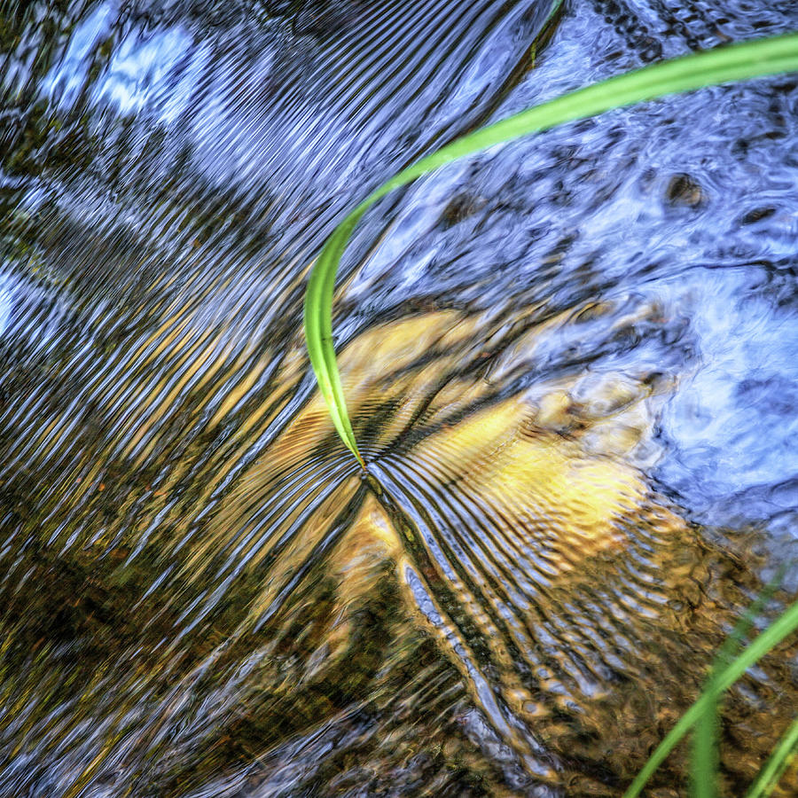 Needle on reflective creek Photograph by Donald Kinney
