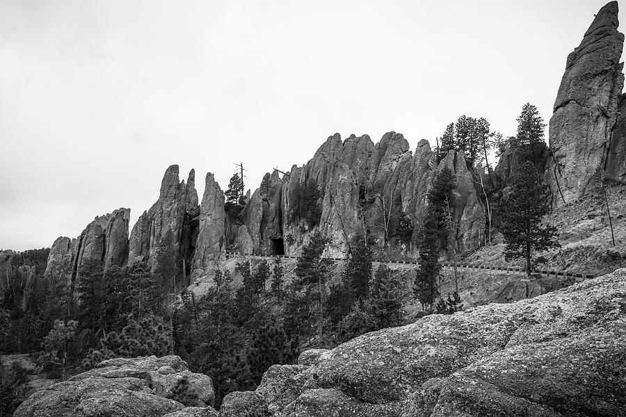 Needles Highway Black And White Photograph by Dan Sproul