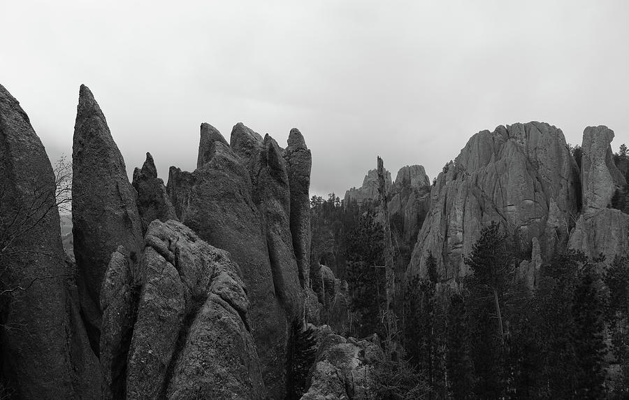 Needles Highway Custer State Park Photograph by Dan Sproul