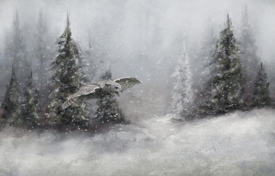 Owl in Winter Digital Art by Marilyn Wilson