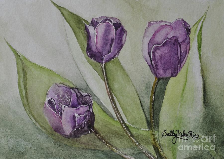 Tulip Painting - Negrita Triumph Triplets by Sally Tiska Rice