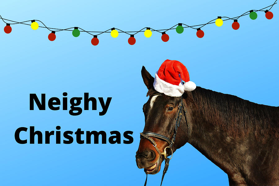 Neighy Christmas Horse Digital Art by Ali Baucom