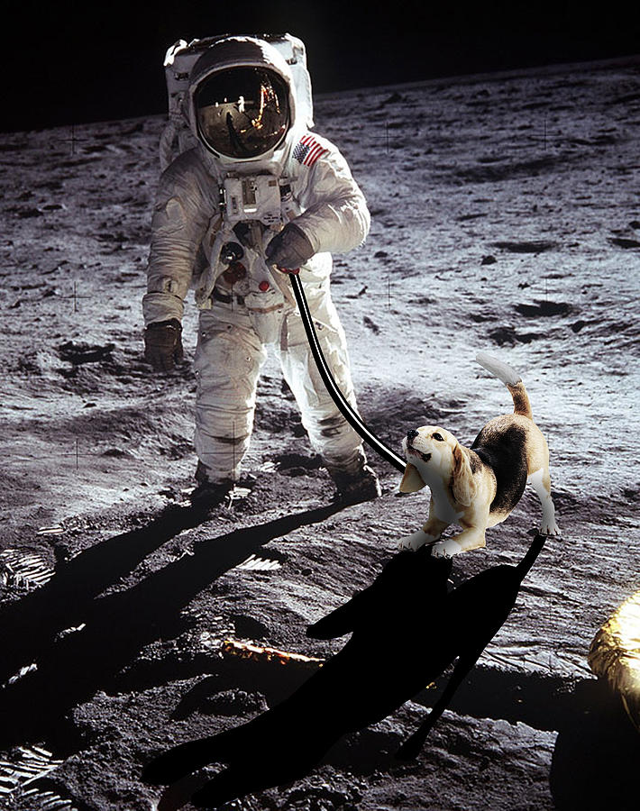 Neil Armstrong Buzz Aldrin Walking Dog on The Moon Painting by Tony Rubino
