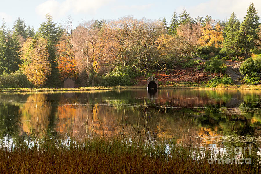 Nellys Moss Lake Photograph by Bryan Attewell