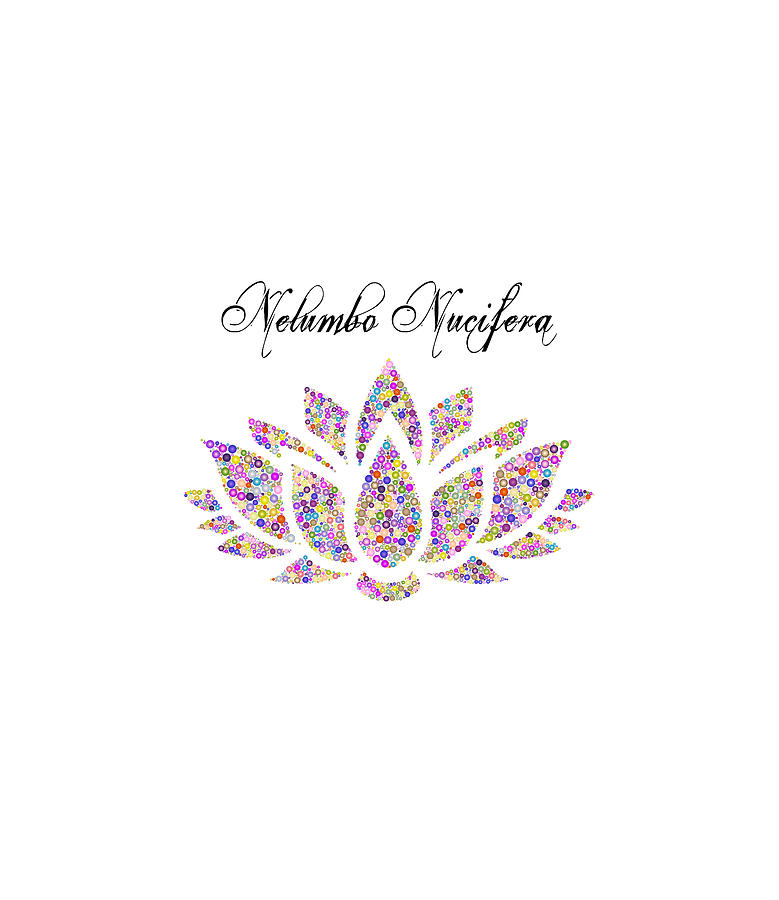 Nelumbo Nucifera by Alison Frank Nelumbo Nucifera by Alison Frank