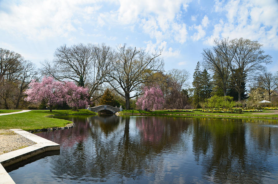 Nemours Estate - Landscape with the Pond - April Photograph by Alex Vishnevsky