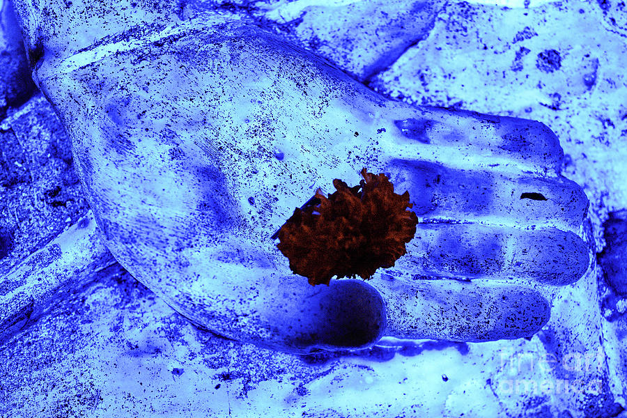Neon Buddha Hand With Marigold - Blue Photograph by Dean Harte