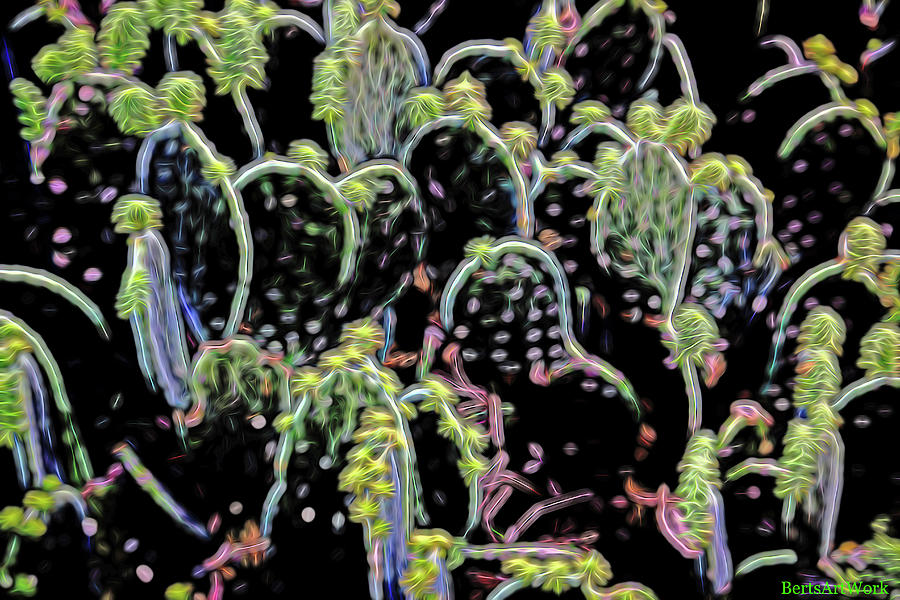 Neon Cacti Photograph by Roberta Byram