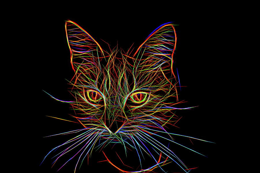 Neon Scratch Art Animals