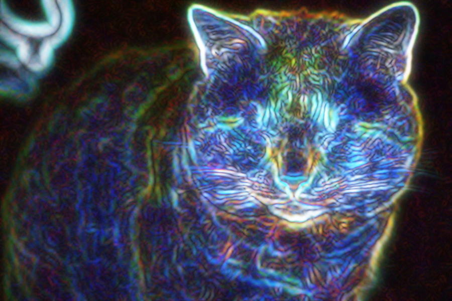 Neon Cat Digital Art by Stacie Siemsen