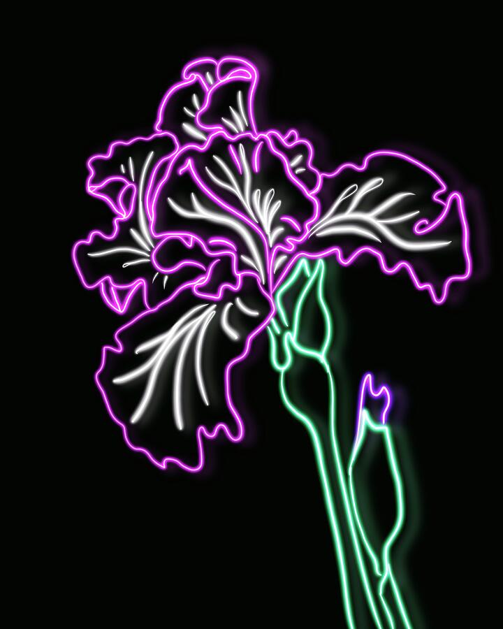 Iris Drawing - Neon Iris by Masha Batkova