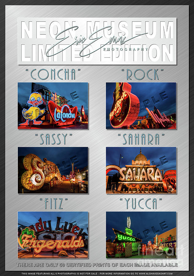 Neon Museum Limited Edition Collection Promotional One Sheet Photograph by Aloha Art