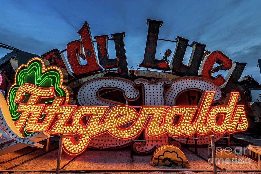 Neon Museum Limited Edition Print - Fitz Photograph by Aloha Art
