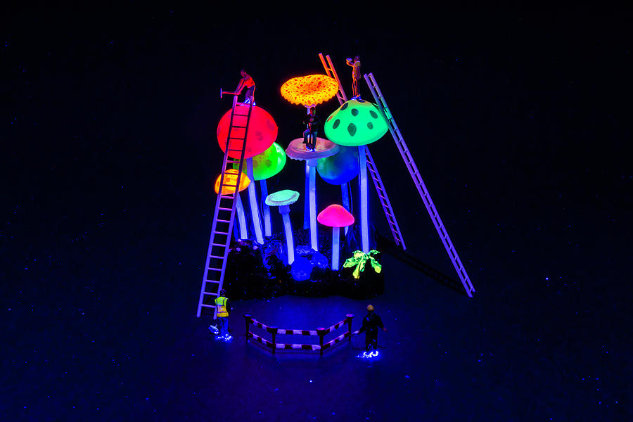Neon Mushroom Miners 1 Photograph